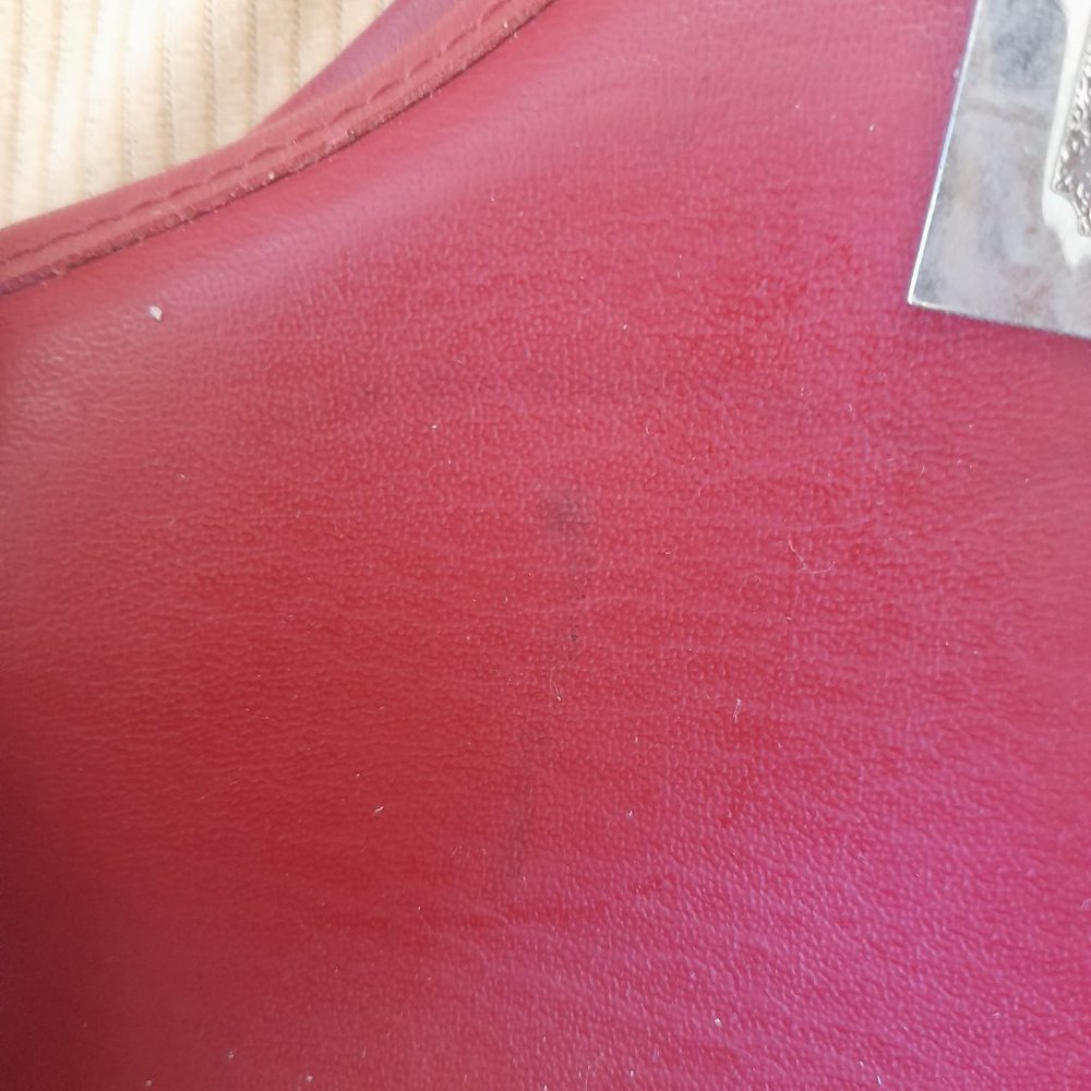 Red Coach - Picture 2 of 3